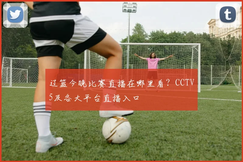 辽篮今晚比赛直播在哪里看？CCTV5及各大平台直播入口